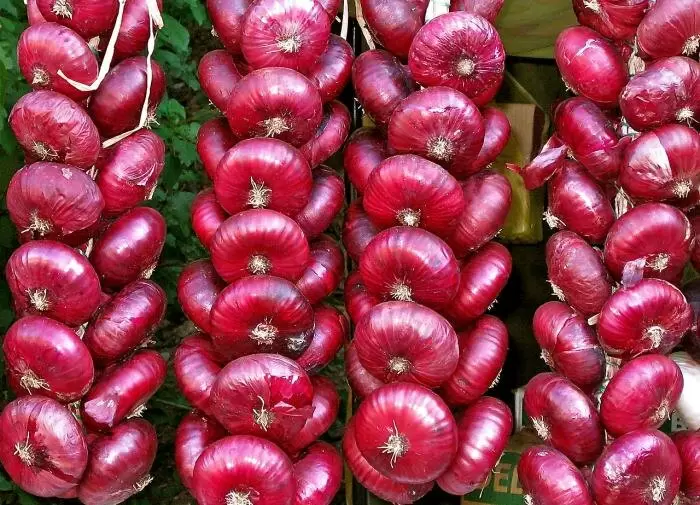 Необычное чаепитие для лука: как крепкий чай помогает вашему урожаю