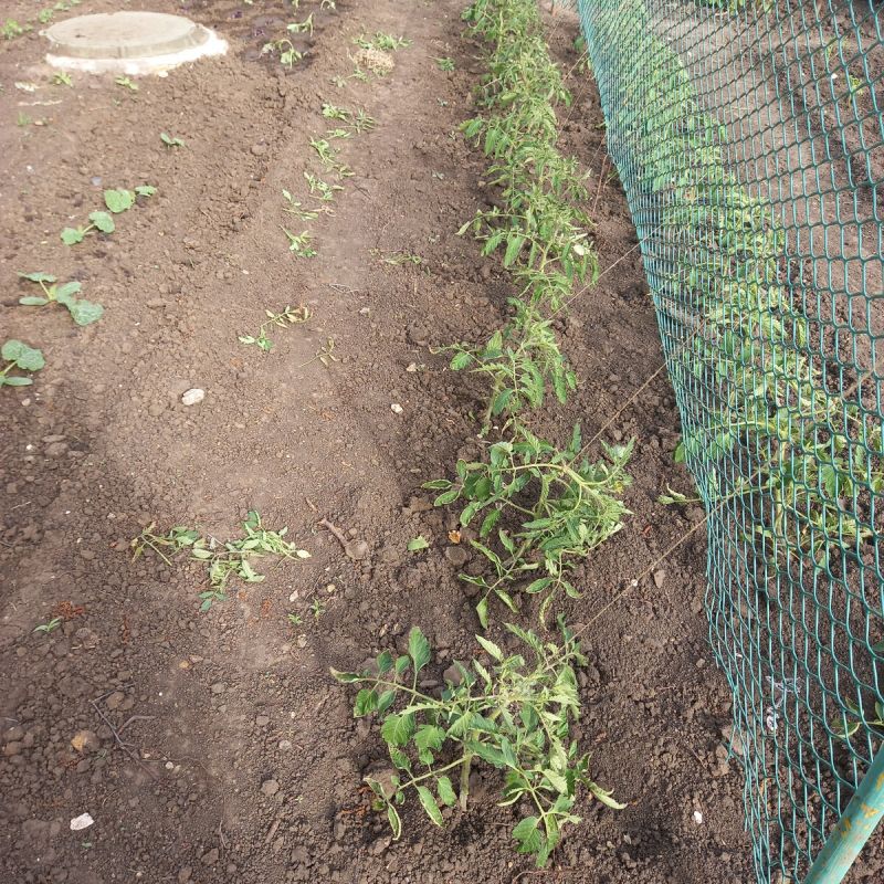 ������������ �������: ��� �� �������� ������ � �������� ������������ ������