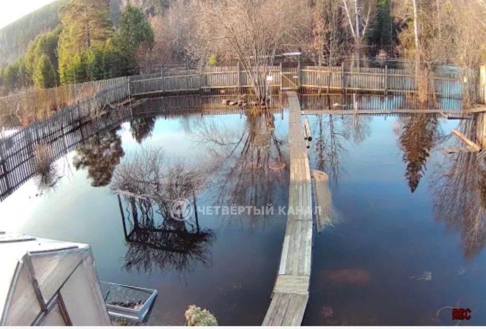 � ����� ��������� ����, ��������� ������ �������