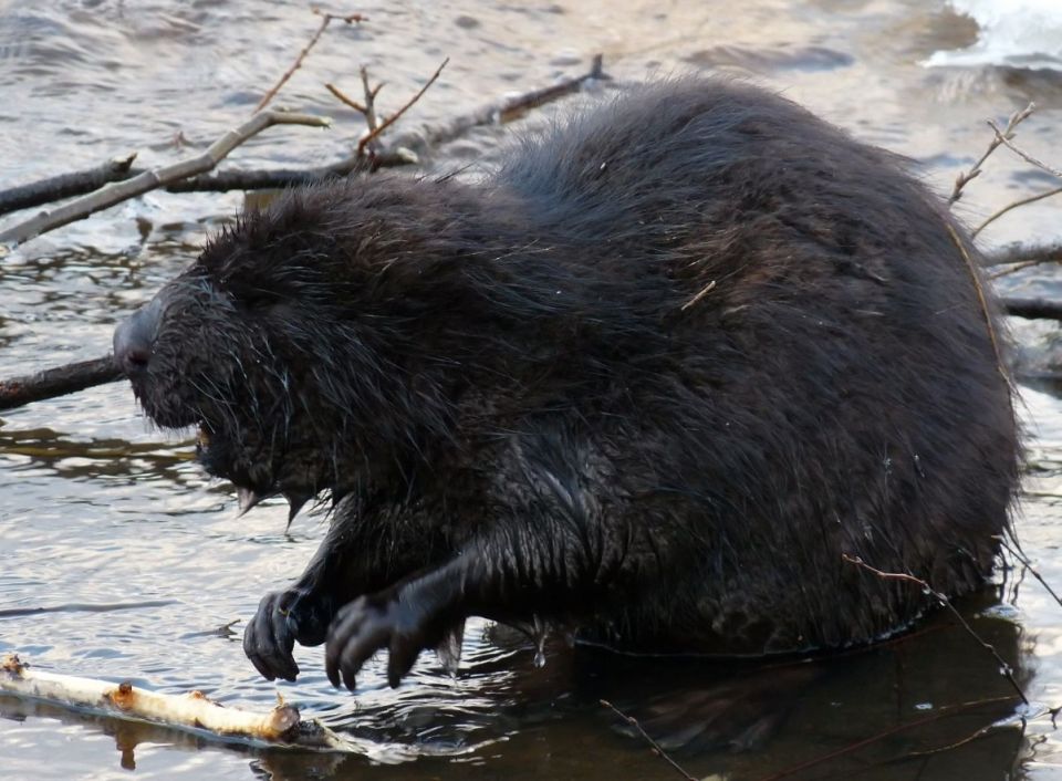 1 � ����� ������������ ������� ����� ������� ����� ����� ��������