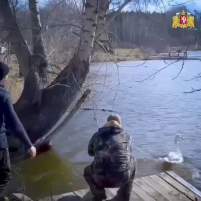 ���������� ����� ��������� � ������ �����