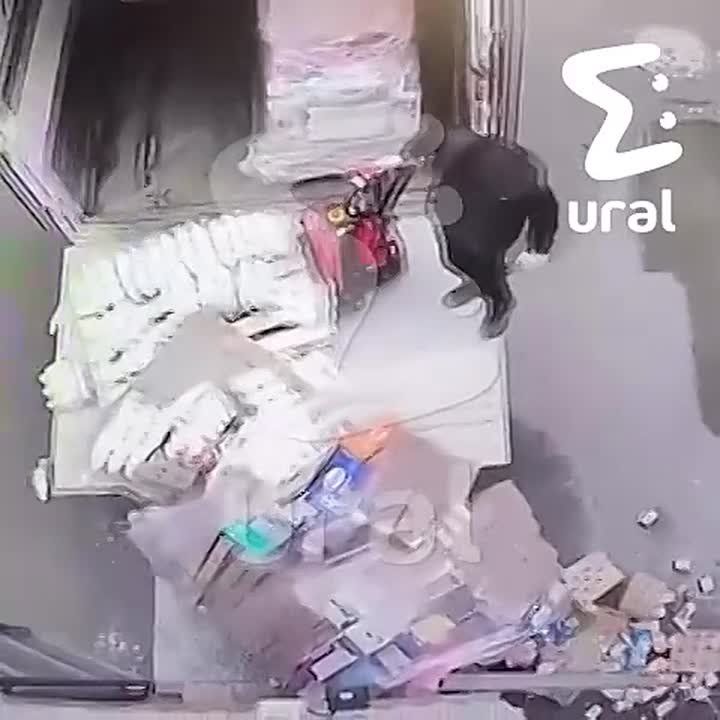 �� ���������� ������������ �������� � ������ ������ ���� �������� �����