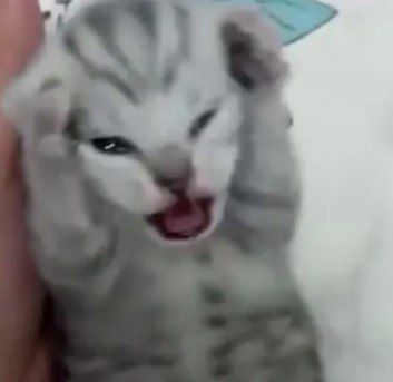 ������� ��������� ���� ������� ����� ��� �������