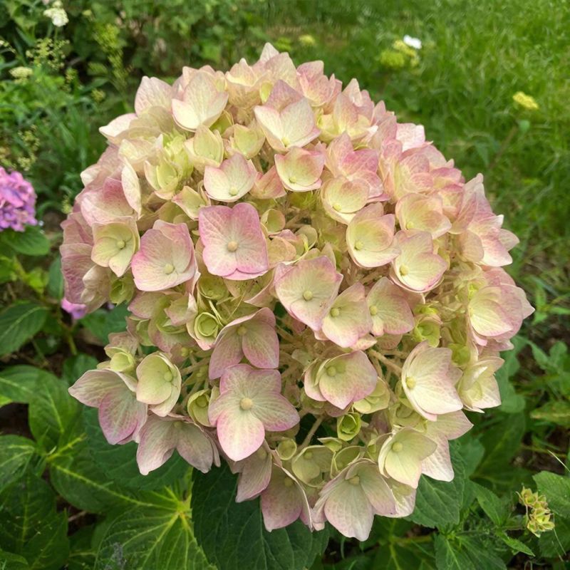 ��� ��������� �������� ��������� ������: ������ ��� ��������� ��������