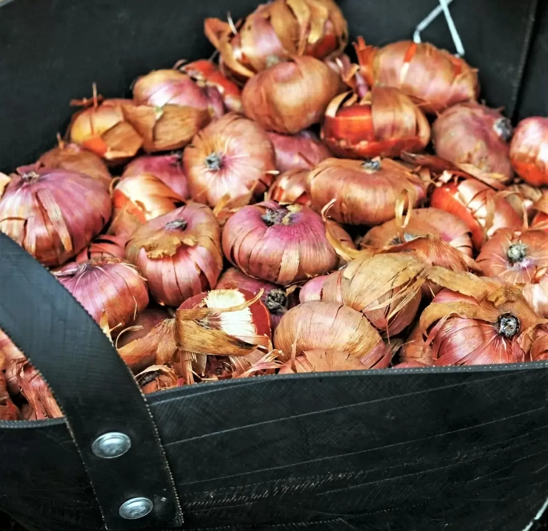 Тонкости ухода за гладиолусами в осенний период