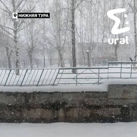 ���� ����� �� ������ ������������ ������� � � ������, ������, ���������������, ������ ���� � ������ �������