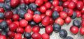 Почему черника превращает ваши губы в синий, а клюква нет