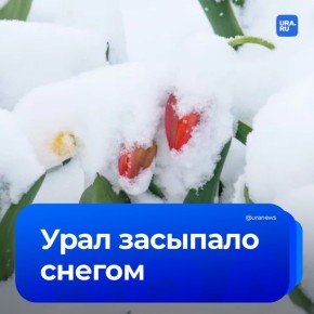 На Урал вернулась настоящая зима: мощный снегопад накрыл север Свердловской области, а сугробы в некоторых городах достигли 15 сантиметров