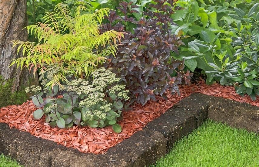 ��� ������������� ����� �������� �������� �������� � ��������� ���� ������� �� �����