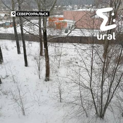 ���� ����� �� ������ ������������ ������� � � ������, ������, ���������������, ������ ���� � ������ �������