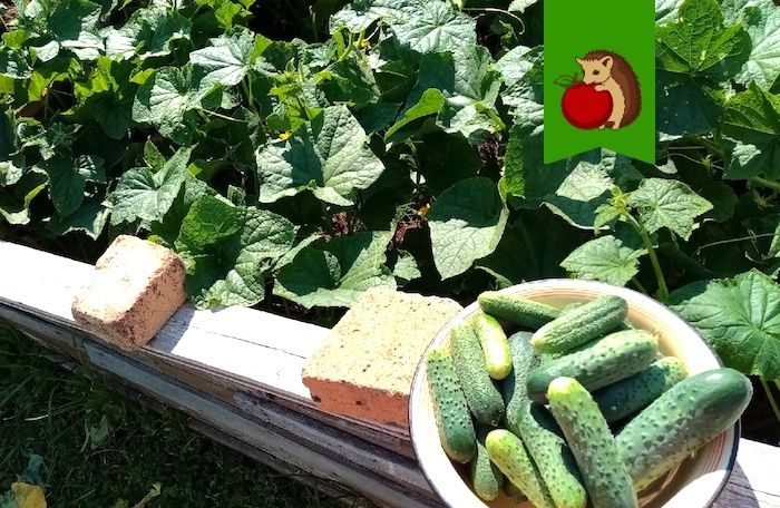 ���������� ������: ��� ������������ �� � ������� � ���������