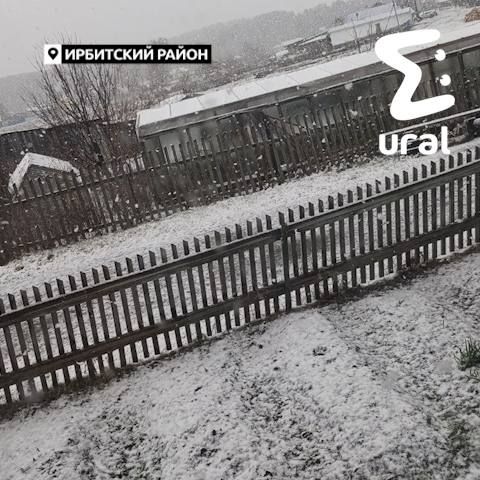 ���� ����� �� ������ ������������ ������� � � ������, ������, ���������������, ������ ���� � ������ �������