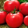 Сибирская сказка – уникальный томат для сложных условий