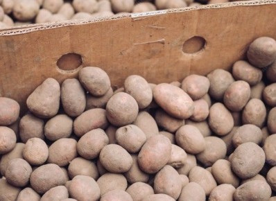 ��� ��������� ������� ������: ������ �� ���������