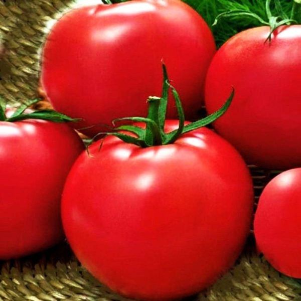 ��������� ������ � ���������� ����� ��� ������� �������