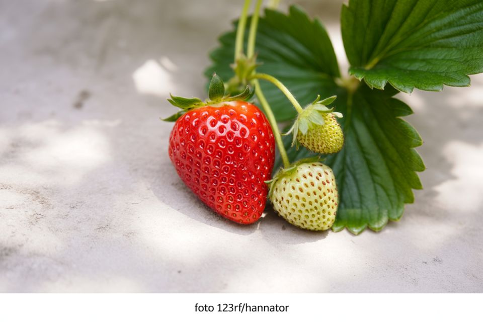 ������� ������ �� ����: ��� �������� ������� � ������� ���������� ����� � ����������