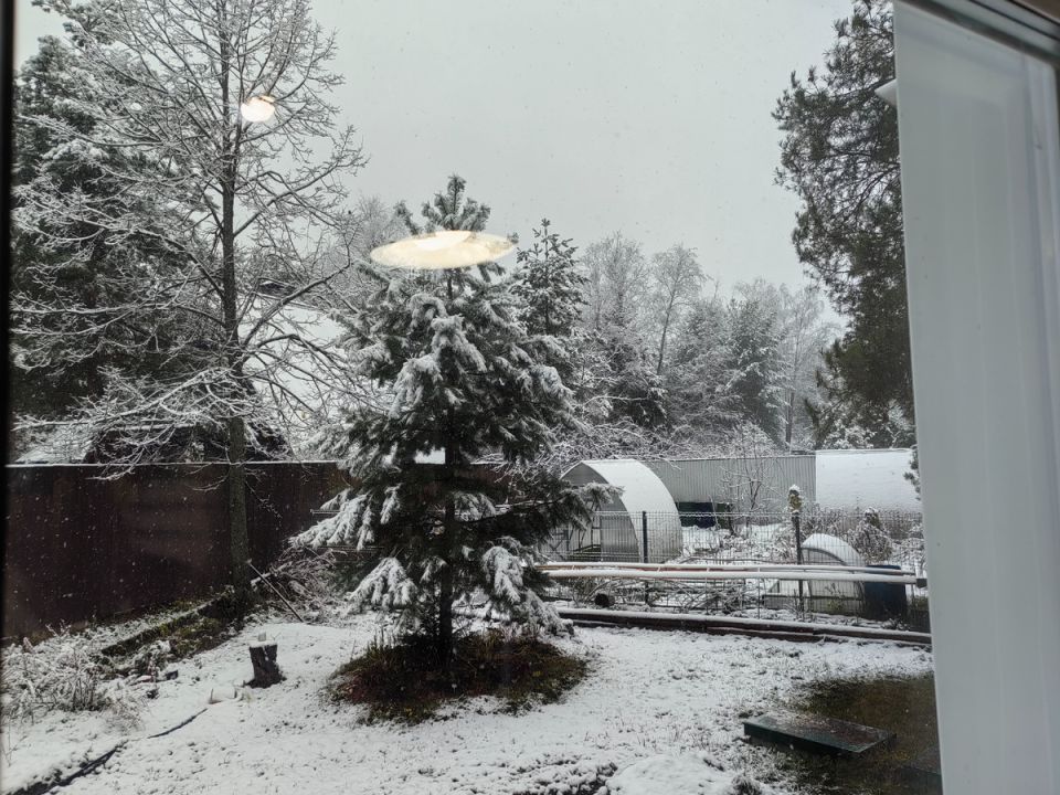 ������ ���� � ��� ��������� �����������