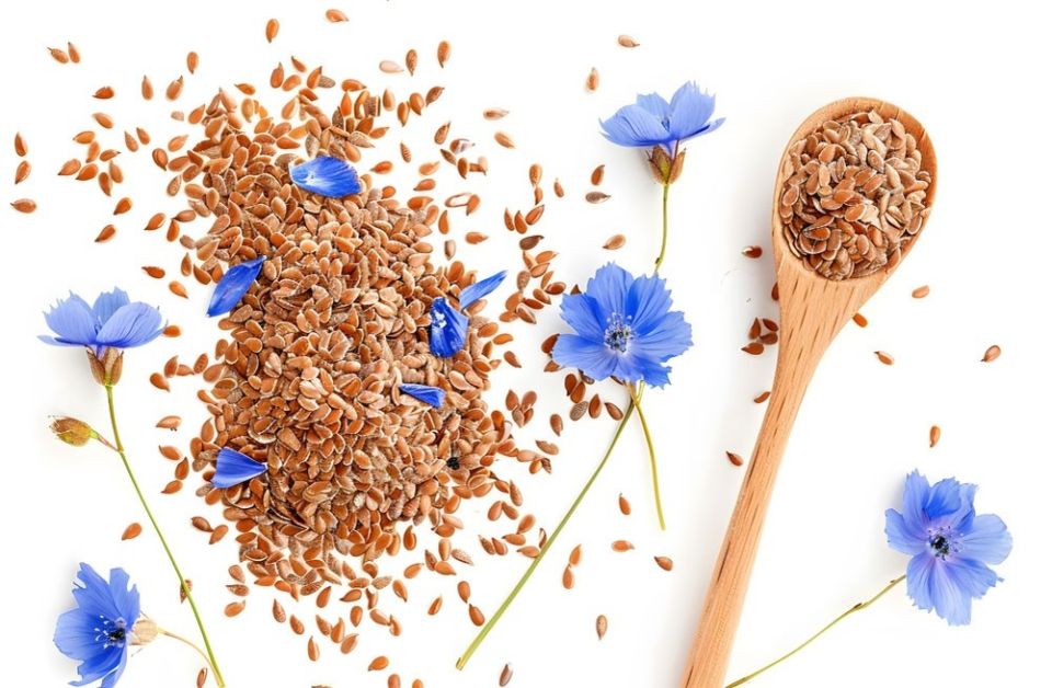 ������ ����: ���������� �������� � ��� �� ��������� �����������