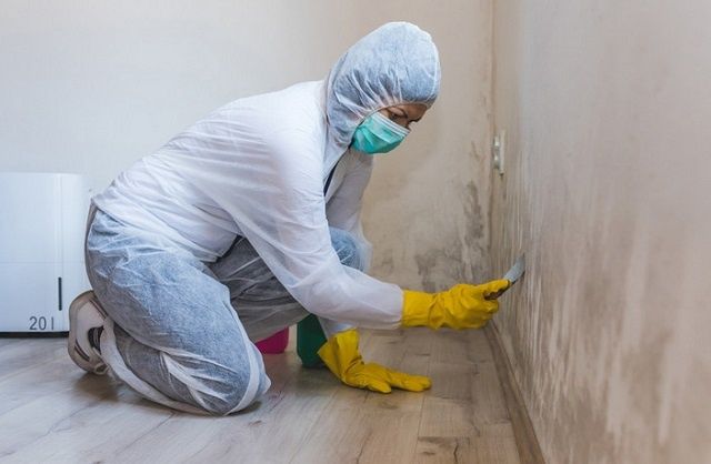 ��� ���������� �� ������� �� ������: ����������� ������ ������ ������ ��������