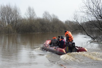 � ������������ ������� ������������ �������� ����������� �� �������� ��������� ���������