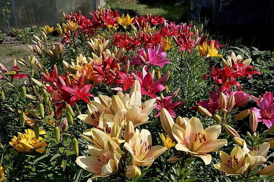 �����: ������� �������� ������� � ����� ��� ���������� ��������