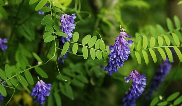 ��� �������� ����� �������� ��� ������