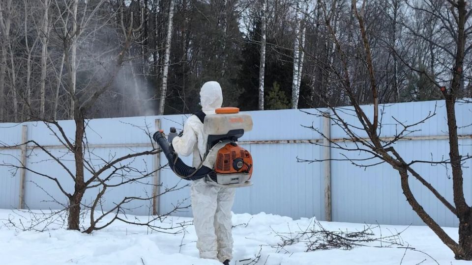 ������ ���������: ������� ��������� ����� �� �����