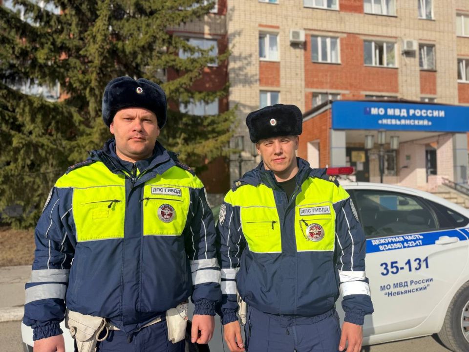 ���������� ������������ ���������������� ������� ��������� ��������� ������ � ��������