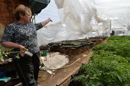 Как подготовить садовые укрывные материалы к следующей зиме: инструкция в рубрике «Сад-Огород»