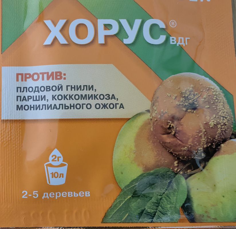 �����: ������������ ���� �� ��������� ���������