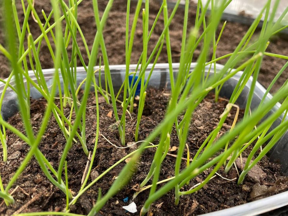 ��� ��������� ��� �� ����� �� ���� ����: �������� � ������