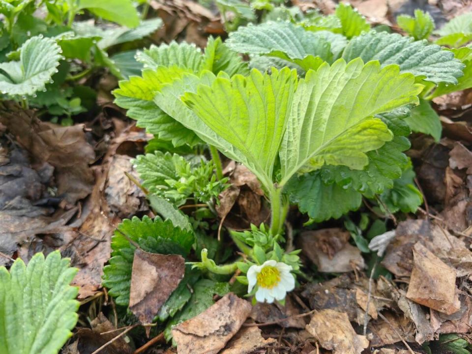 ��� �������� �������� ��� ������� ������