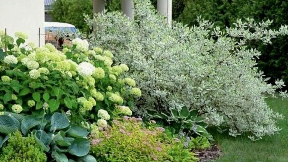 ������������ ���������� ��� ����: ������� ���������� ��������