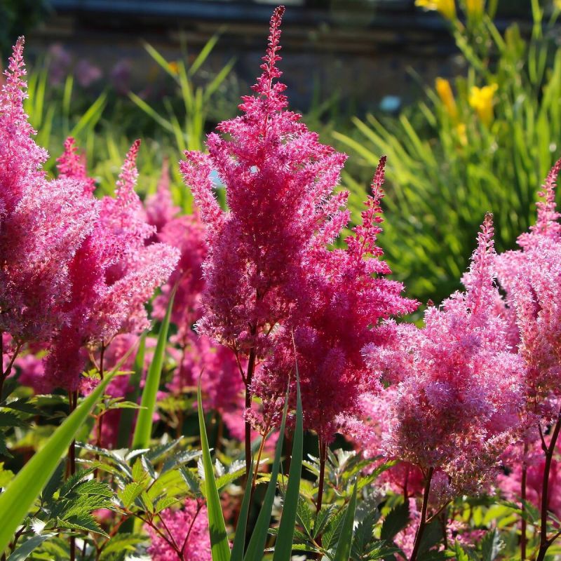 �������� ���� ��������: ������� ���� ��� �������������� ����������� � ����� ����