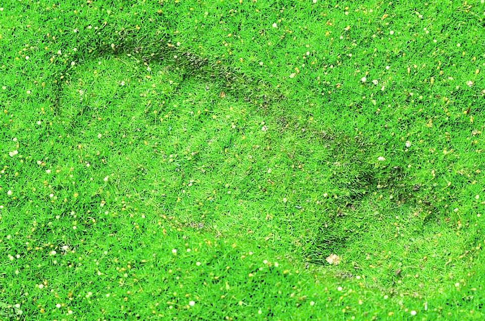 ����������� �������������� ��������, ������� ������� ��� �� ���������� ������ � ���������