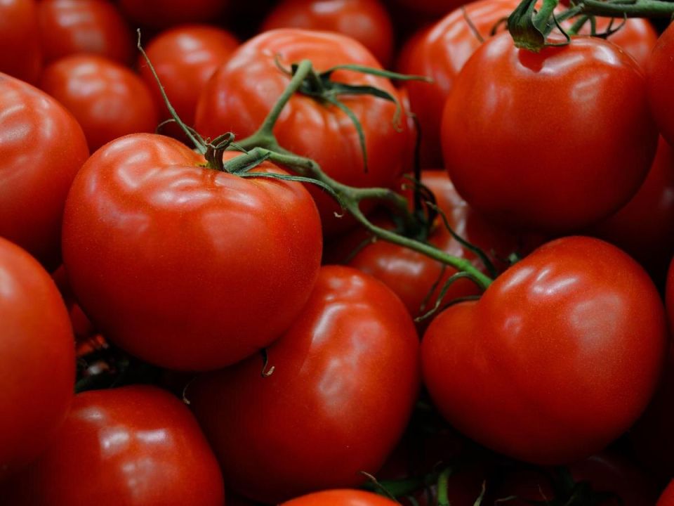 ��������� ����� ������, ������� ������ ������� ���������