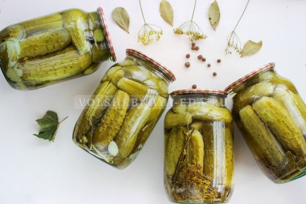 ����������� ��������� ������������ ������: ������� ������������� �� ����