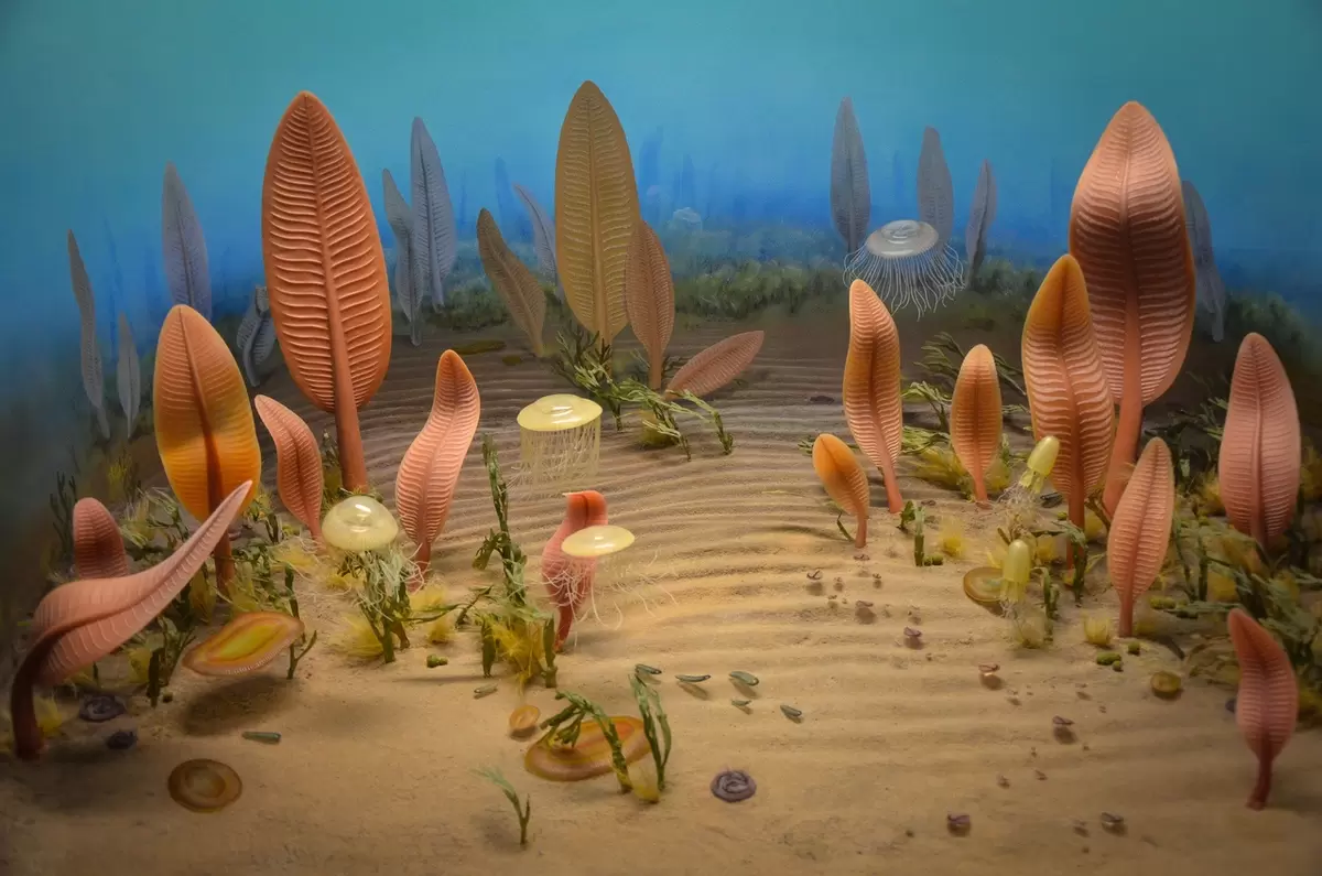 Путешествие во времени: как эволюция растений формировала Землю