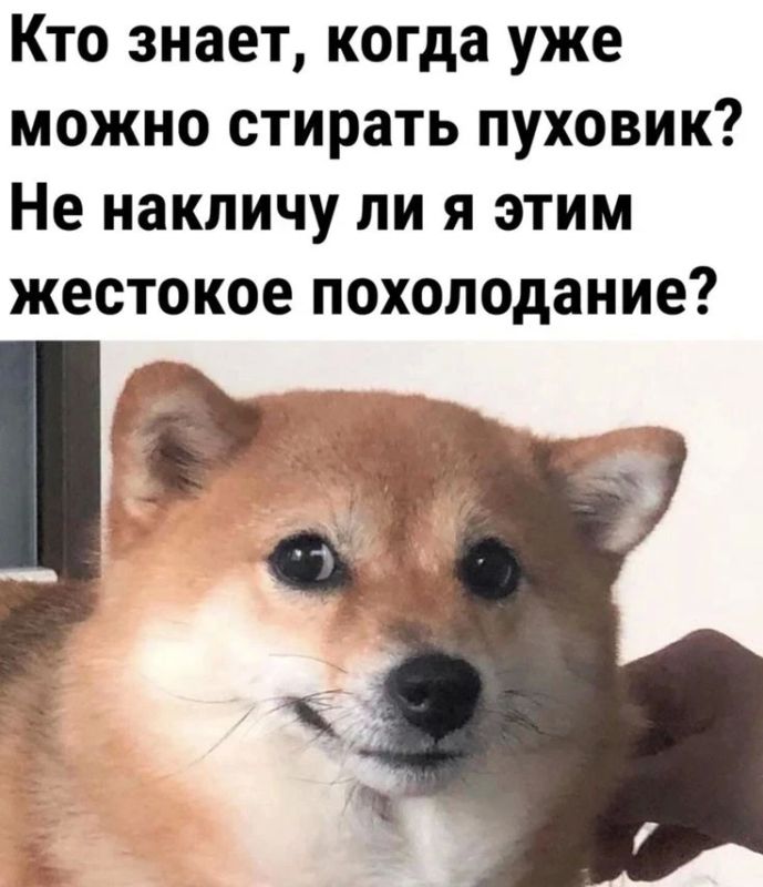 �������� �������� �����: ��� ��������� ������ ����, ����� ��� ����������� �� �����