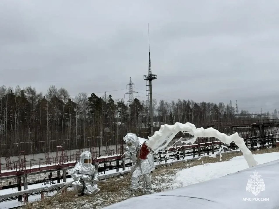 ���� ������ ����: ������ �� ��������������� ����