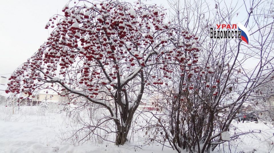 �� ���� ������������ ����: ����, ��������� �� -4 � ��������� ����