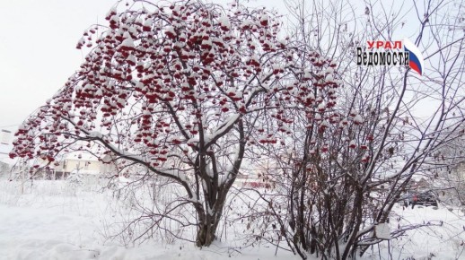 �� ���� ������������ ����: ����, ��������� �� -4 � ��������� ����