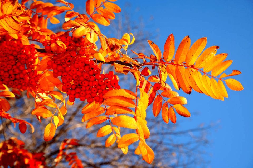 ��� ����������� ������ � ���� � ����� ��������