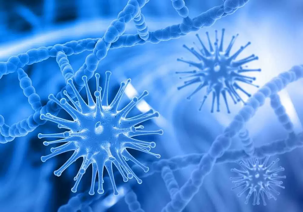 Почему стоит заботиться о чистоте гаджетов и как это делать правильно