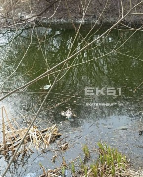 ������� ���� ����� �������� � ������������� ����