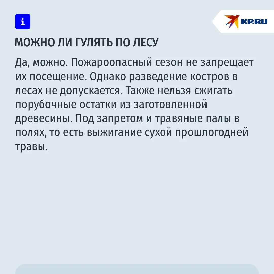 Гулять по лесу можно, жечь костры - нет: что будет под запретом после начала пожароопасного сезона в Свердловской области Гулять по лесу можно, жечь костры - нет: что будет под запретом после начала пожароопасного сезона в Свердловской области