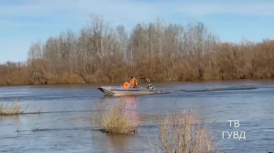 ����� ������, ������� �������: ��������� ������� ���������� ������ ��� �������������� � ����� � �����