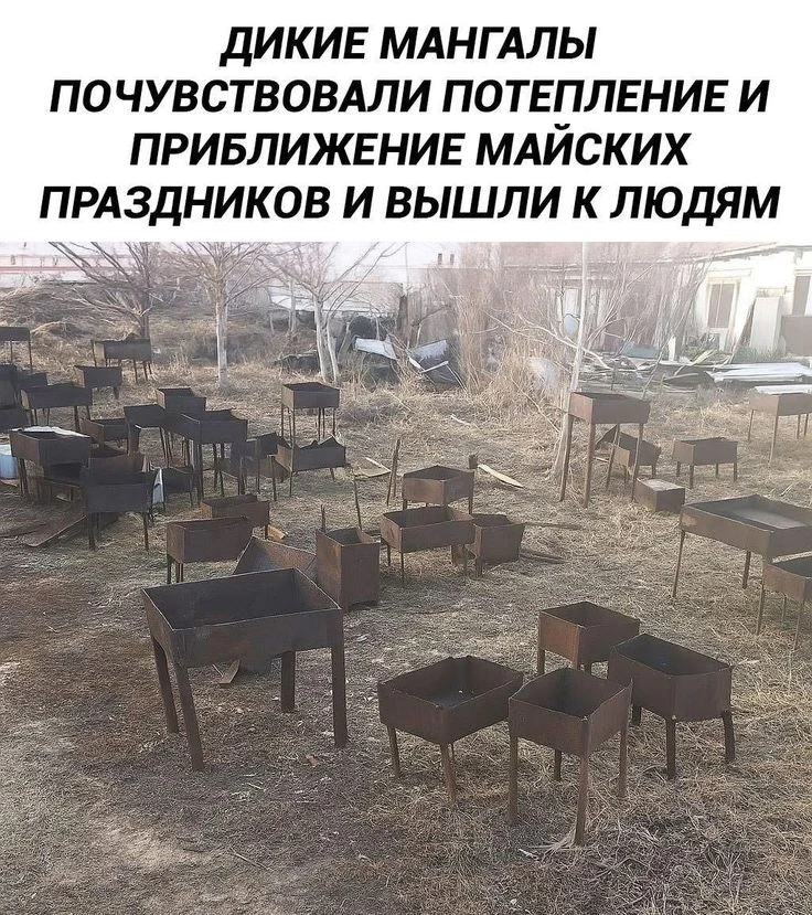 Топ-5 необычных маринадов для шашлыка