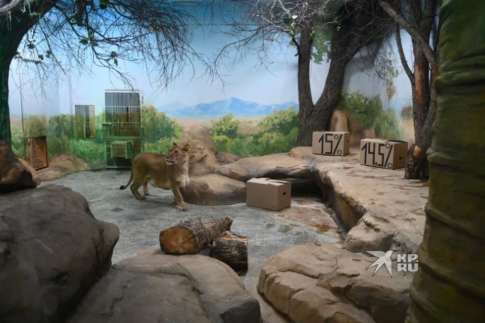 ������� ������ ���� � ���������������� �������� ����������� ��������� ������