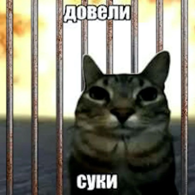 ������, ������� ����� ����� �����, ������� ������ �������� � ����? ����������� �������: ������ ������